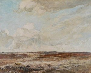Dorset Moorland — Oliver Hall