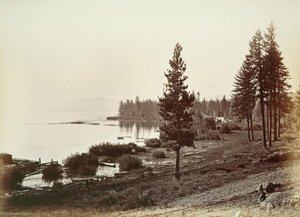 Untitled (aqtdlk) — Carleton Watkins, Realism