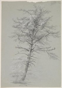 Tree9 — Thomas Cole