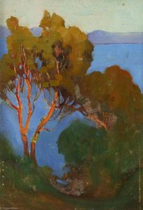 Italianate Lakeside — Benjamin Haughton
