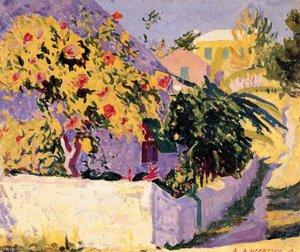 Hibiscus, Bermuda — Edwin Ambrose Webster