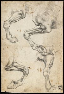 Studien Von Pferden — Leonardo Da Vinci