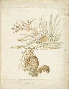 Dog And Squirrel — Jean-baptiste Oudry