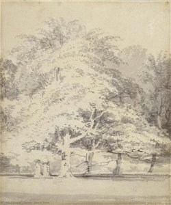 Beech Trees — J.m.w. Turner, Early 19th-century Landscape