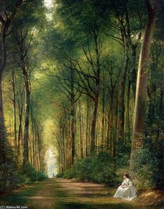 The Beech Avenue