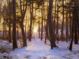 The Pine Coppice