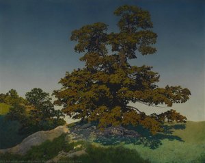Portrait Of A Tree — Maxfield Parrish
