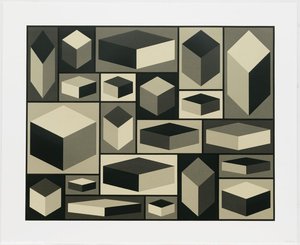 Distorted Cubes From Distorted Cubes — Solomon Lewitt
