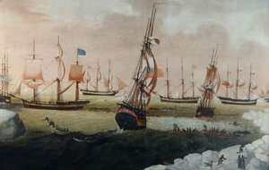 'thomas', 'brothers', 'samuel' And 'north Briton' In The Arctic — Robert Willoughby