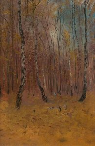 Autumn Forest