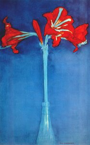 Amaryllis — Piët Mondrian
