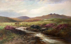 Dartmoor, Devon