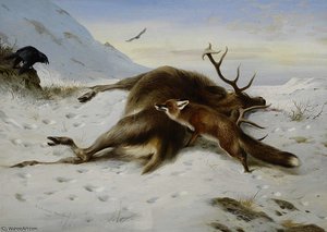 Not For The Larder — Archibald Thorburn