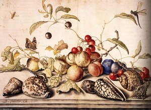 Still-Life with Plums, Cherries, and Shells
