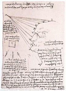 Studie Des Effekts Von Licht Auf Einen Profilkopf (fassung) — Leonardo Da Vinci, Early Renaissance