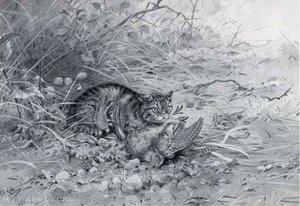 A Wild Cat With It's Kill — George Edward Lodge