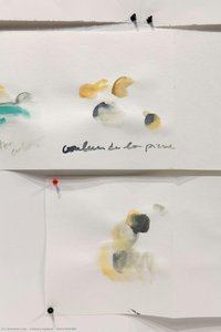 Petri Pétrifié — Fabrice Hybert