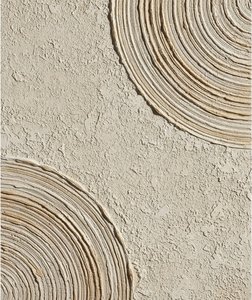 Concentric Ridges In Sand And Pale Clay — David Moreau