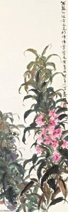 Garden Balsam — Deng Fen