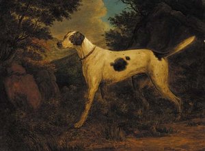 Dash, Colonel Thornton's Terrier, In A Wooded Landscape