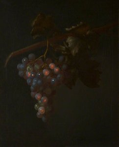 A Bunch of Grapes