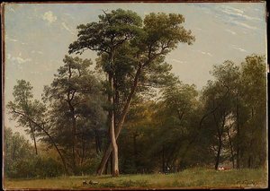 Clearing At The Edge Of A Wood — Louis Auguste Lapito