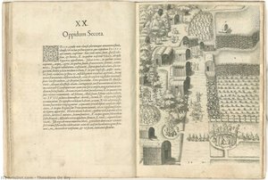 Untitled — Teodoro De Bry