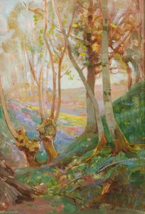 Woodland Study, East Downe — Benjamin Haughton