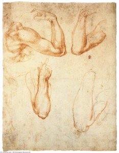 Bildnis Einer Frau (verso) — Michelangelo Buonarroti