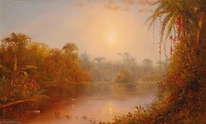 A River In The Tropics — Norton Bush