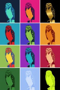 Chromatic Nocturne: A Multidimensional Grid of Radiant Avian Silhouettes in Motion