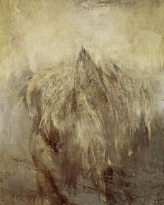 El Salto Del Pez — Francisco Gutiérrez Cossio (pancho Gutierrez Cossio)
