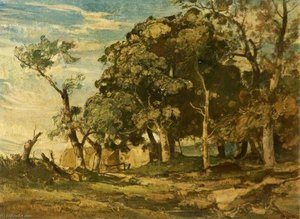 Sycamore Trees — Oliver Hall