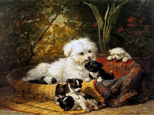 Dog with puppies in the garden sun