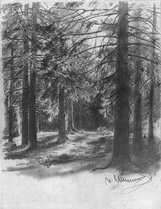 Fir In Sunlight — Ivan Ivanovich Shishkin