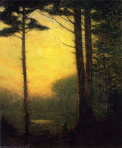 Sunset Pines