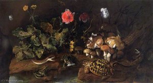 Still Life With A Snake, Frogs And A Tortoise — Paolo Porpora