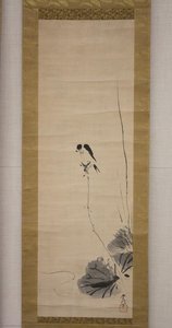 Swallow — Kano Tsunenobu