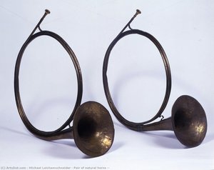 Pair of natural horns (