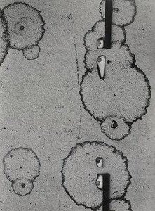 Palm Springs 5 — Aaron Siskind