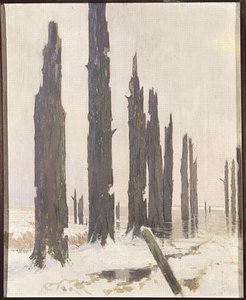 Désolation