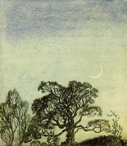 A Midsummer Night's Dream Moonlight In The Wood — Arthur Rackham
