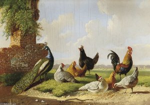 A Peacock, Rooster And Hens In A Landscape — Albertus Verhoesen