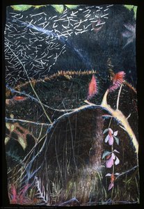 Fern Forest #2 — Meg Kaplan Noach