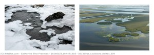 20140222_dritvik_016 / 20130911_louisiana_deltas_270 — Catherine Tina Freeman