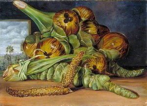 Flowers And Fruit Of The Palmyra, And The Palm Seen Through A Window, Java — Marijana Nort, Naturalism