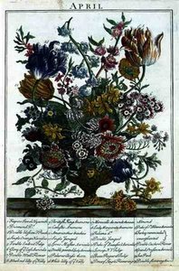 April, From 'the Flower Garden Displayed' By Robert. — Pieter Casteels Iii, Baroque