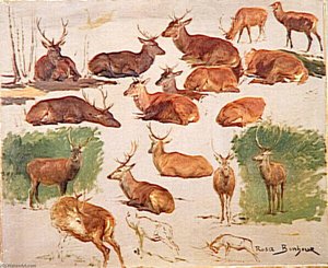 Etude De Cerfs — Bonheur Marie Rosalie