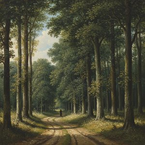 Solitude In The Verdant Cathedral: A Single Path Through Ancient Light — Marc Duvallier
