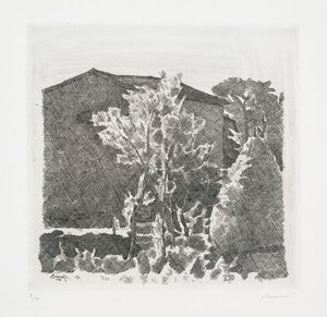 II Poggio al mattino